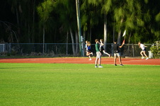 Enlarge photo 315