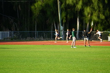 Enlarge photo 318