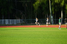 Enlarge photo 320