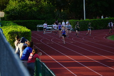Enlarge photo 338