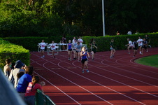 Enlarge photo 341