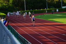 Enlarge photo 343
