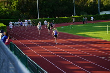 Enlarge photo 344