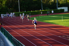 Enlarge photo 347