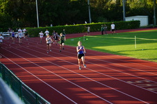Enlarge photo 346