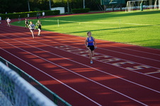 Enlarge photo 349