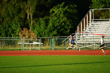 Enlarge photo 373