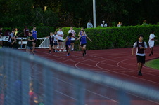 Enlarge photo 380