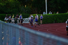 Enlarge photo 381