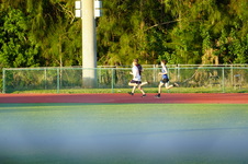 Enlarge photo 455