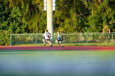 Enlarge photo 457