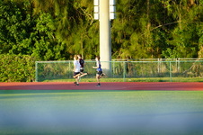 Enlarge photo 458