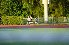 Enlarge photo 459