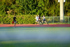 Enlarge photo 461