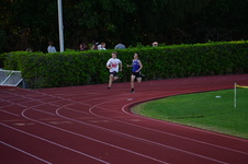 Enlarge photo 463