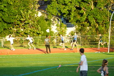 Enlarge photo 487