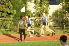 Enlarge photo 486