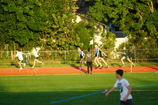Enlarge photo 488