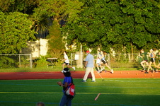 Enlarge photo 493