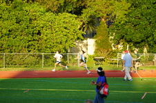 Enlarge photo 496