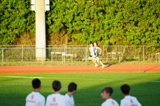 Enlarge photo 497