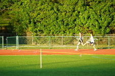 Enlarge photo 504