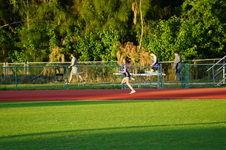 Enlarge photo 513