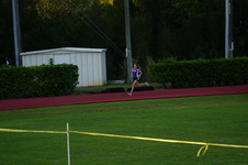 Enlarge photo 521