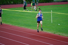 Enlarge photo 617