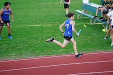 Enlarge photo 628