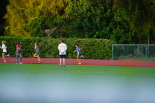 Enlarge photo 649