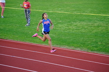 Enlarge photo 659