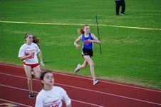 Enlarge photo 733