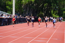 Enlarge photo 253