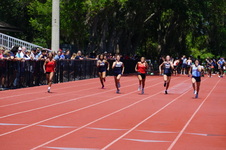 Enlarge photo 254