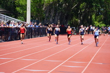 Enlarge photo 255