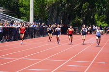 Enlarge photo 256