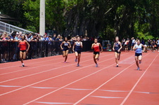 Enlarge photo 257