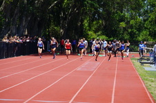 Enlarge photo 268