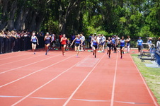Enlarge photo 270