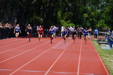Enlarge photo 273