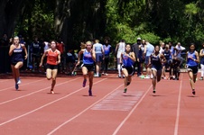 Enlarge photo 272