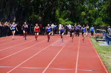 Enlarge photo 275