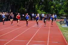 Enlarge photo 274