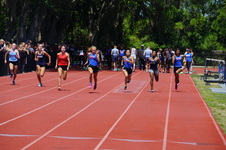 Enlarge photo 276