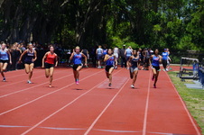 Enlarge photo 277