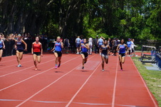 Enlarge photo 280