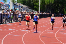 Enlarge photo 284