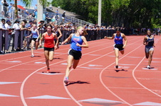 Enlarge photo 287