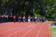 Enlarge photo 291